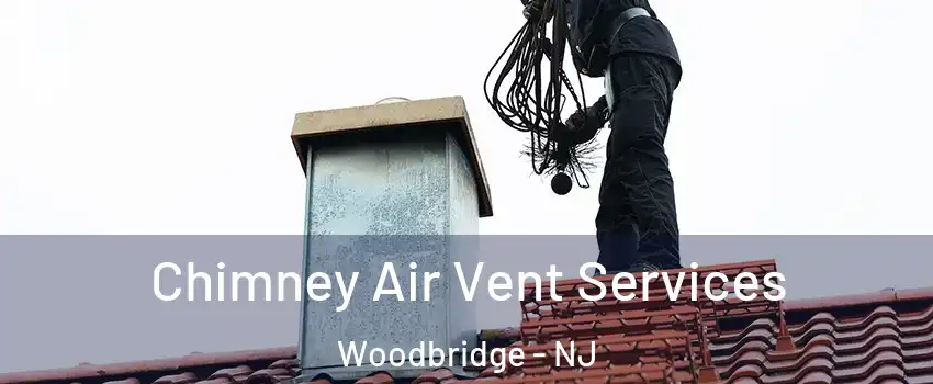  Chimney Air Vent Services Woodbridge - NJ
