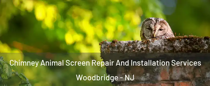  Chimney Animal Screen Repair And Installation Services Woodbridge - NJ