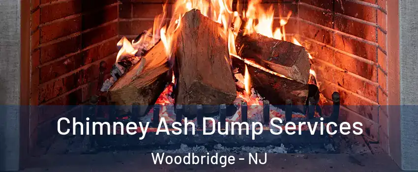  Chimney Ash Dump Services Woodbridge - NJ