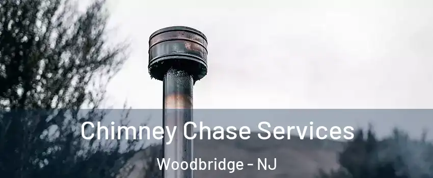  Chimney Chase Services Woodbridge - NJ