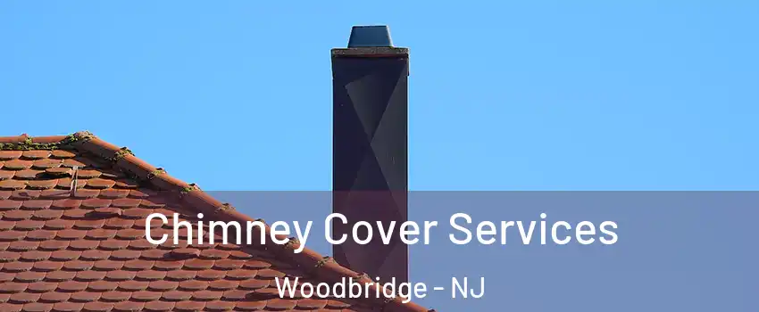  Chimney Cover Services Woodbridge - NJ