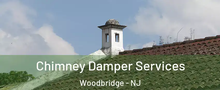  Chimney Damper Services Woodbridge - NJ