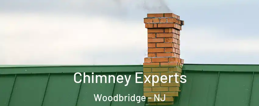  Chimney Experts Woodbridge - NJ