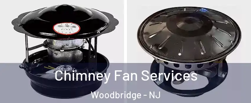  Chimney Fan Services Woodbridge - NJ