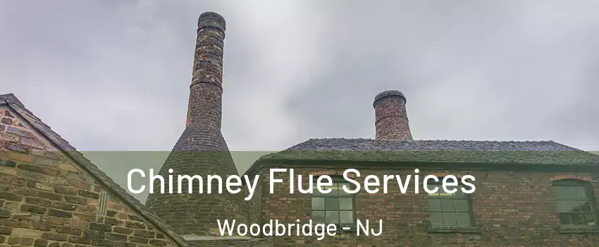  Chimney Flue Services Woodbridge - NJ