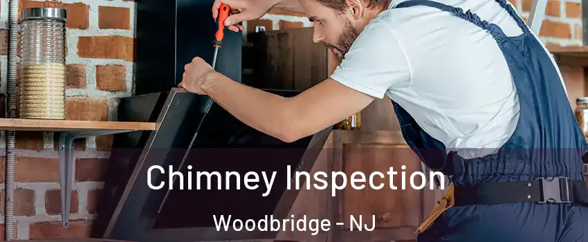  Chimney Inspection Woodbridge - NJ