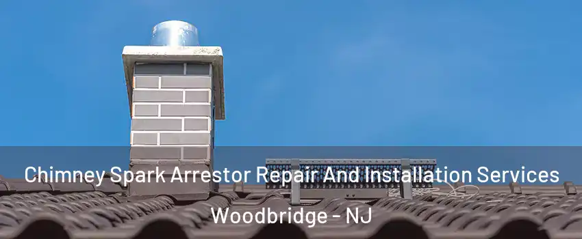  Chimney Spark Arrestor Repair And Installation Services Woodbridge - NJ