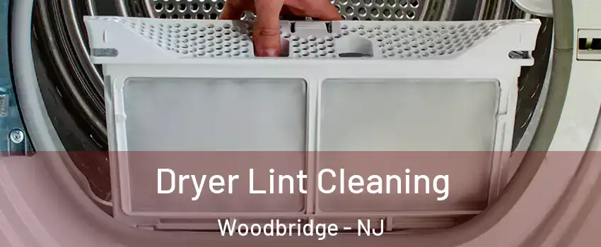  Dryer Lint Cleaning Woodbridge - NJ