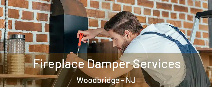  Fireplace Damper Services Woodbridge - NJ