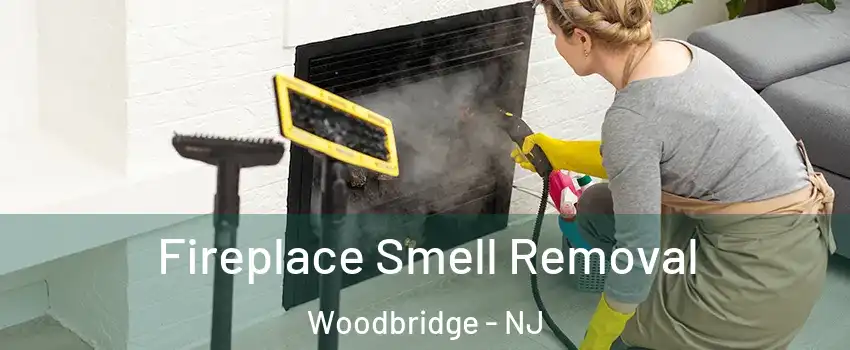  Fireplace Smell Removal Woodbridge - NJ