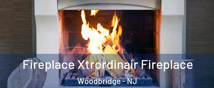  Fireplace Xtrordinair Fireplace Woodbridge - NJ