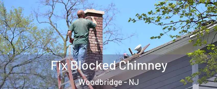  Fix Blocked Chimney Woodbridge - NJ