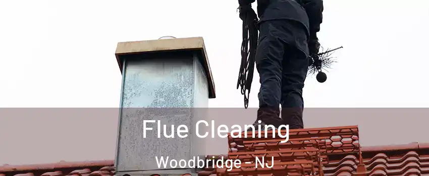 Flue Cleaning Woodbridge - NJ