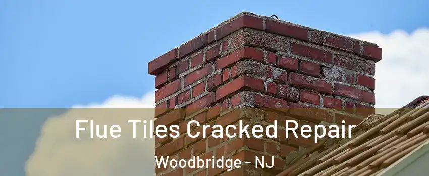  Flue Tiles Cracked Repair Woodbridge - NJ