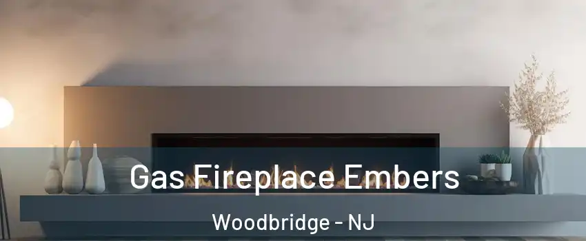  Gas Fireplace Embers Woodbridge - NJ