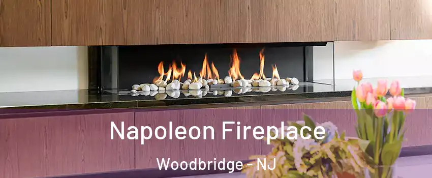  Napoleon Fireplace Woodbridge - NJ